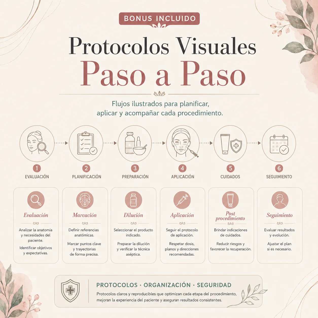 Bono 4 — Protocolos Visuales Paso a Paso